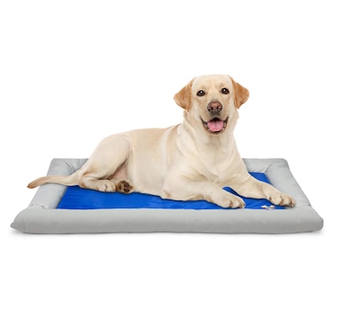 Arf Pets Self Dog Cooling Mat, Solid Gel Based Pet Cooling Mat with Foam Based Bolster Bed - 22"x30"