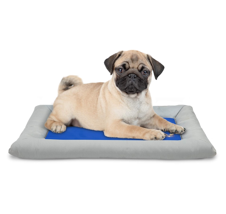 Image 870754_ST01.jpg, Product 870-754 / Price $89.99, Arf Pets Self Dog Cooling Mat, Solid Gel Based Pet Cooling Mat with Foam Based Bolster Bed - 22"x35" from Arf Pets on TSC.ca's Home & Garden department