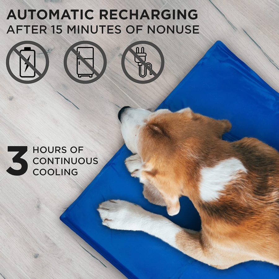 Image 870851_ALTMORE3.jpg, Product 870-851 / Price $34.99, Arf Pets Dog Cooling Mat, Durable, Non-Toxic Gel Dog Bed Mat for Kennels, Crates & Beds - X-Small from Arf Pets on TSC.ca's Home & Garden department