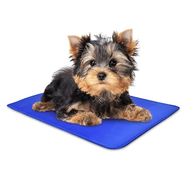 Arf Pets Dog Cooling Mat, Durable, Non-Toxic Gel Dog Bed Mat for Kennels, Crates & Beds - Small
