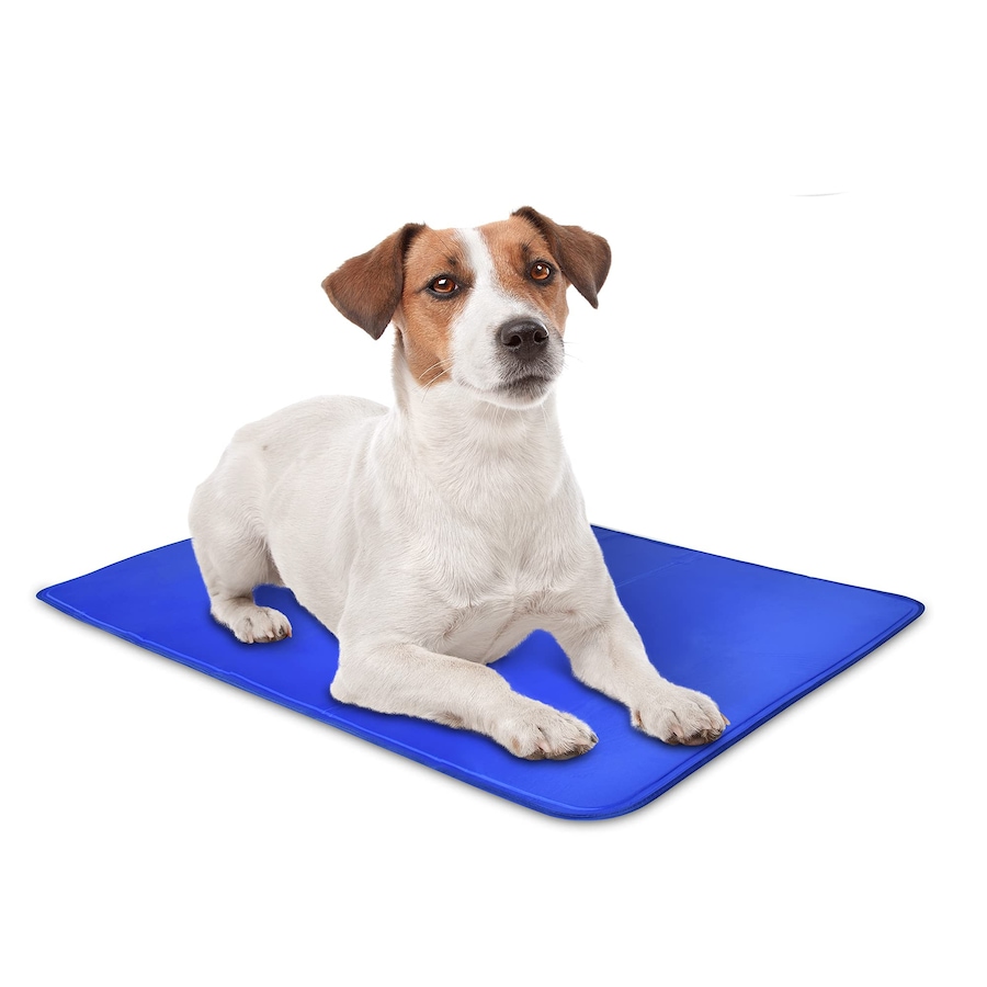 Image 870851_ST01.jpg, Product 870-851 / Price $34.99, Arf Pets Dog Cooling Mat, Durable, Non-Toxic Gel Dog Bed Mat for Kennels, Crates & Beds - X-Small from Arf Pets on TSC.ca's Home & Garden department