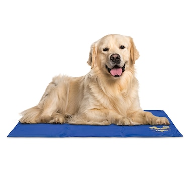 Arf Pets Dog Cooling Mat 19”x35”, Durable, Non-Toxic Gel Dog Bed Mat for Kennels, Crates & Beds