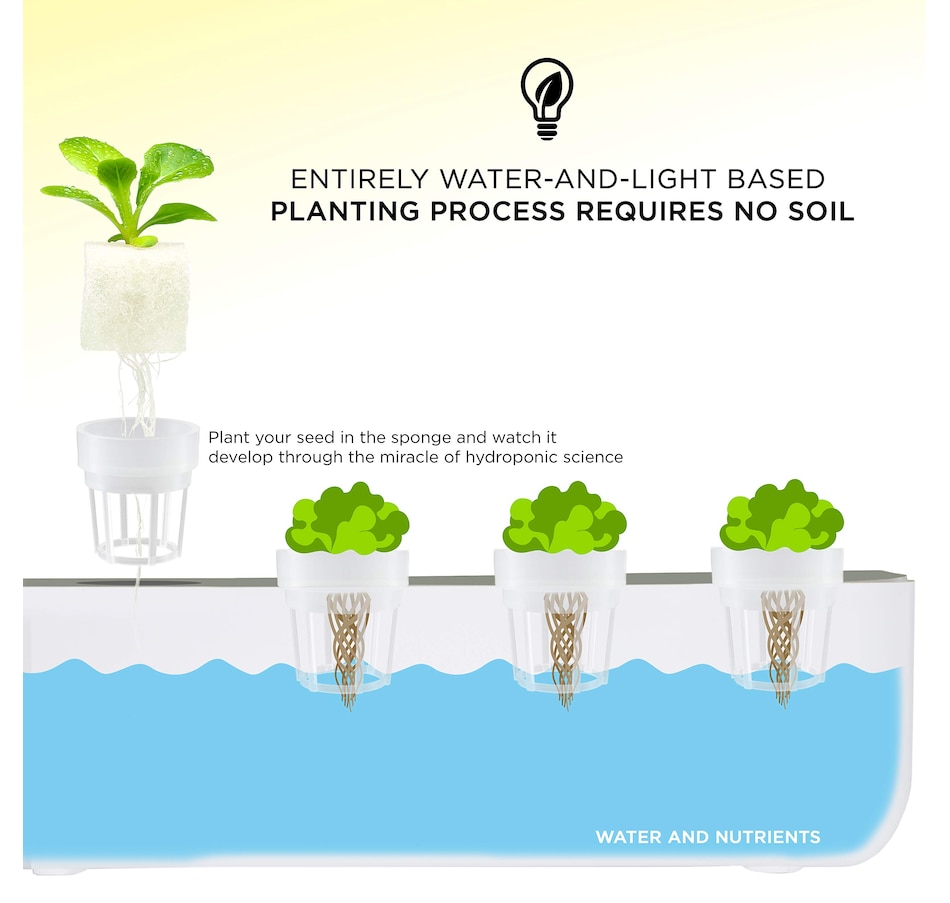 Image 870878_ALTMORE2.jpg, Product 870-878 / Price $24.99, Ivation 20 Germination Grow Sponges for IVAHG20 Indoor Herb Grower from Ivation on TSC.ca's Home & Garden department
