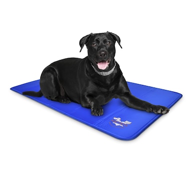 Arf Pets Dog Cooling Mat 23”x35”, Durable, Non-Toxic Gel Dog Bed Mat for Kennels, Crates & Beds