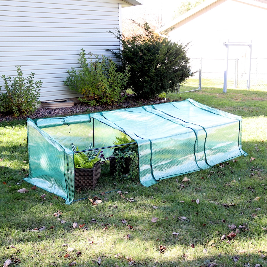 Image 872988_ALTMORE18.jpg, Product 872-988 / Price $114.05, Mini Slanted Cloche Greenhouse with Zippered Doors - Green from Sunnydaze Décor on TSC.ca's Home & Garden department