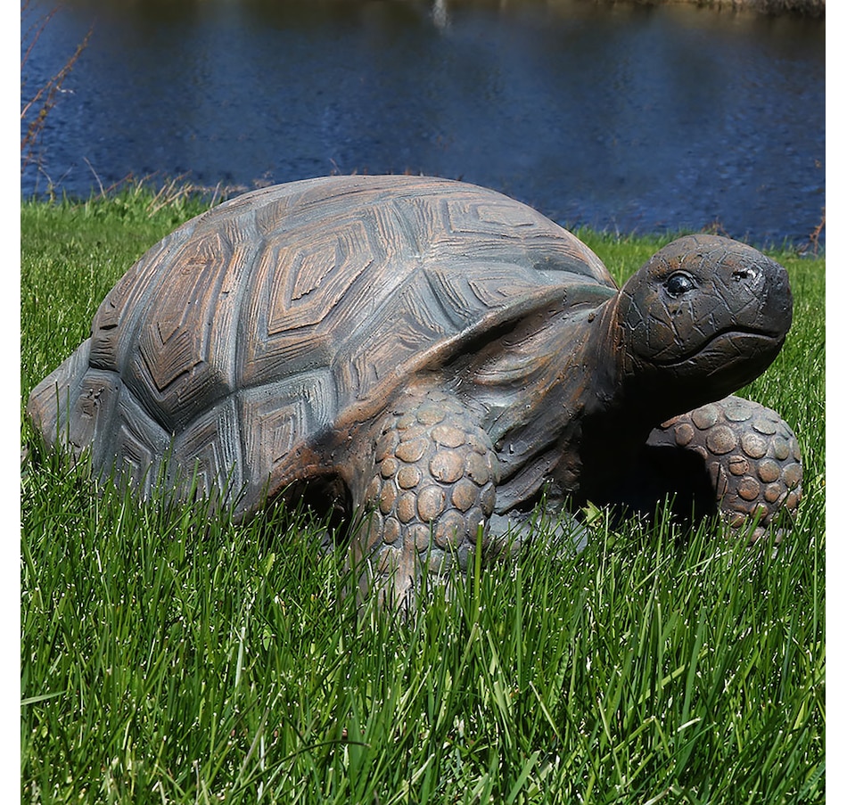 Home & Garden - Outdoor Living - Outdoor Furniture - Tanya the Tortoise ...