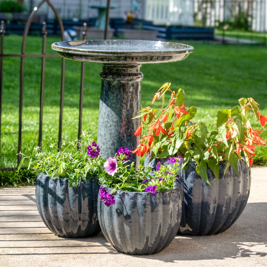 Image 881426_ALTMORE18.jpg, Product 881-426 / Price $340.35, Toulon Ceramic Bird Bath - Black Mist from Sunnydaze Décor on TSC.ca's Home & Garden department