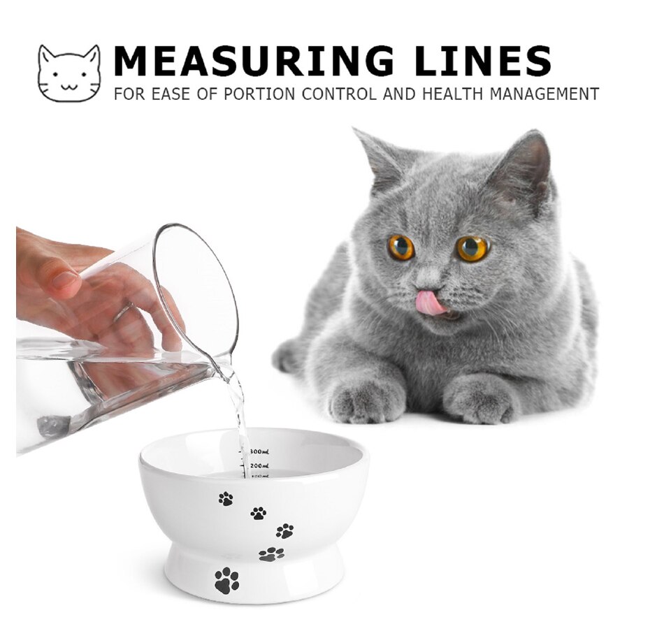 Home & Garden Pet Boutique Y YHY 15 Oz Ceramic Cat Water Bowl, Anti