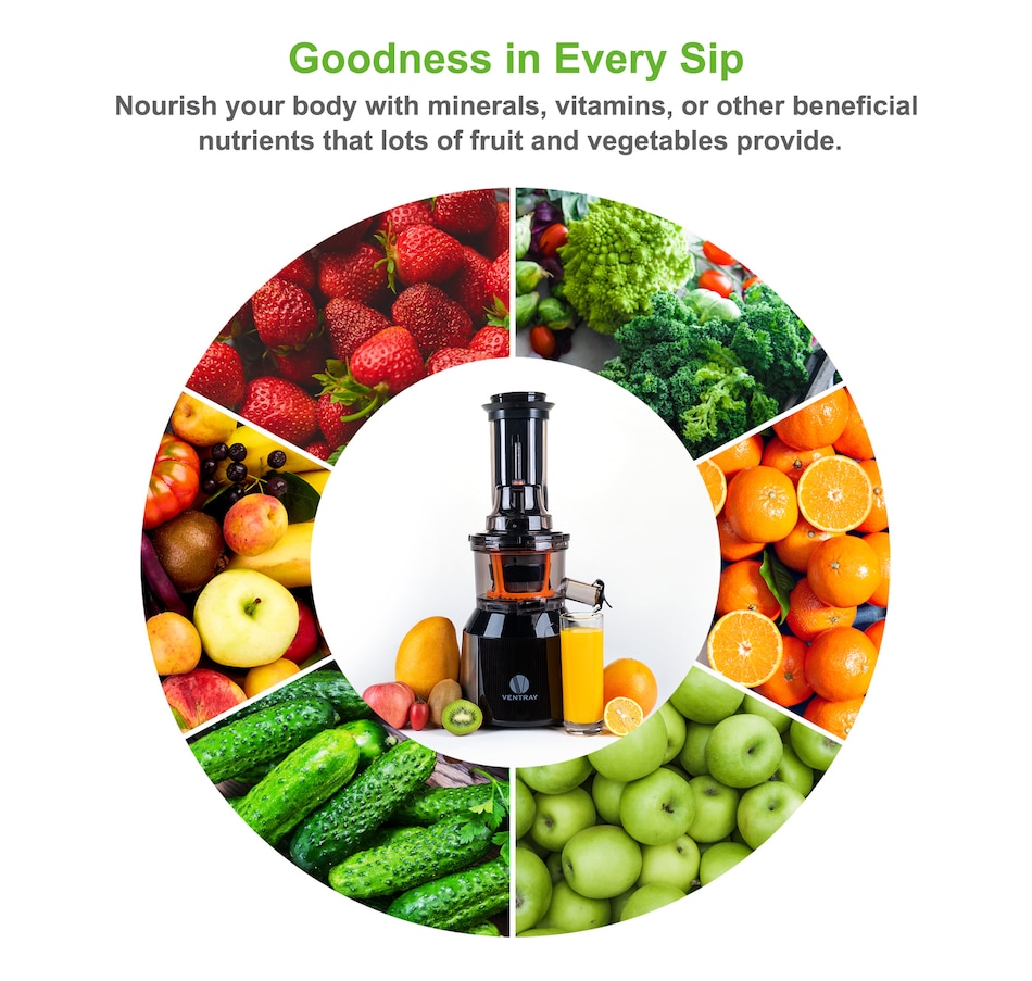 Image 899017_ALTMORE1.jpg, Product 899-017 / Price $249.99, Ventray Big Feeding Mouth,Large Chute,Masticating Juicer Black from Ventray on TSC.ca's Kitchen department