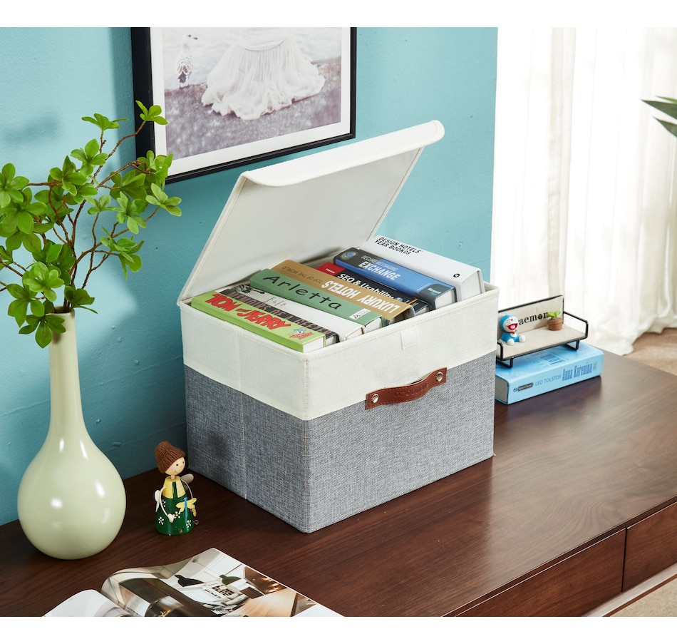 Image 899199_ALTMORE17.jpg, Product 899-199 / Price $38.99, Fabric Storage Bins Stackable Storage Box with Lid | Lidded Storage Bin from DECOMOMO® on TSC.ca's department