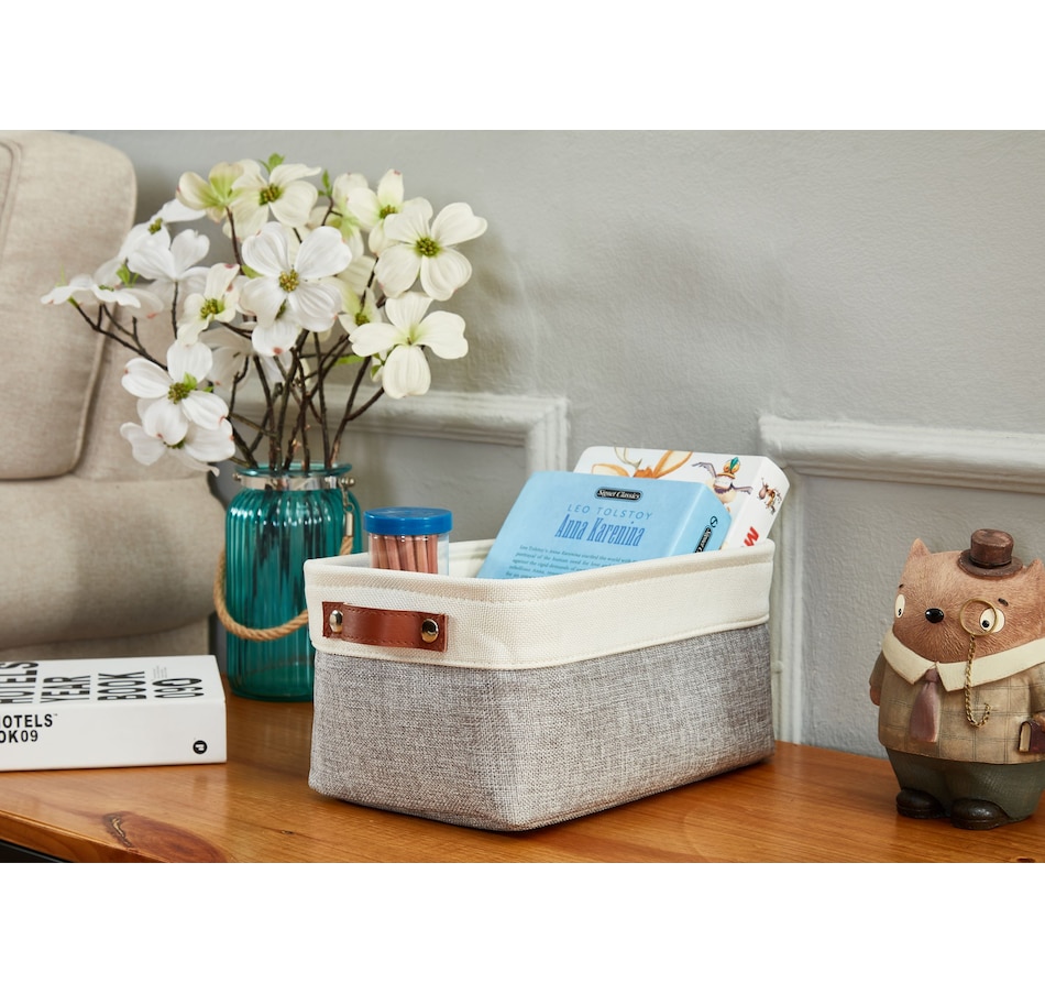 Image 899201_ALTMORE15.jpg, Product 899-201 / Price $40.99, Small Foldable Fabric Storage Bin from DECOMOMO® on TSC.ca's department