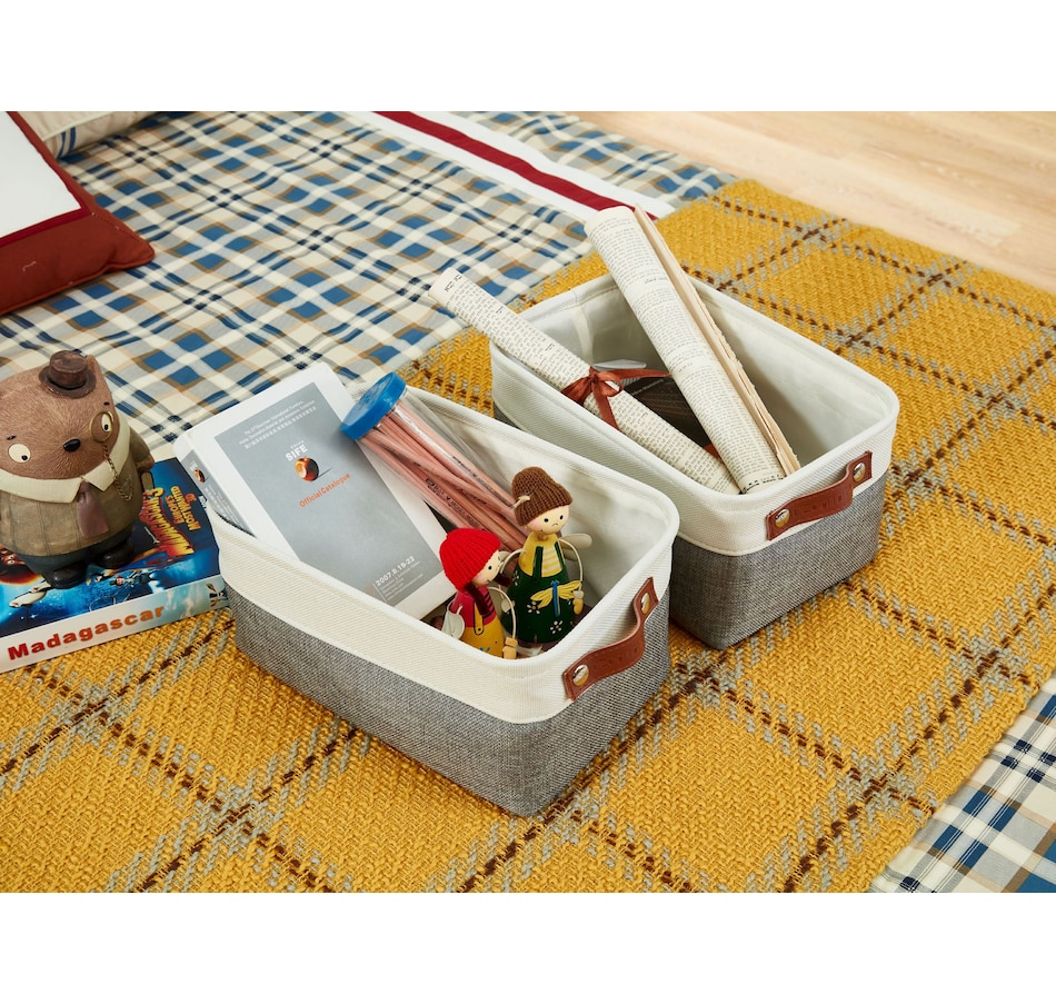 Image 899201_ALTMORE16.jpg, Product 899-201 / Price $40.99, Small Foldable Fabric Storage Bin from DECOMOMO® on TSC.ca's department