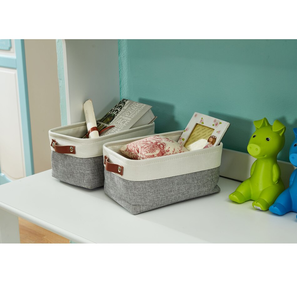 Image 899201_ALTMORE19.jpg, Product 899-201 / Price $40.99, Small Foldable Fabric Storage Bin from DECOMOMO® on TSC.ca's department