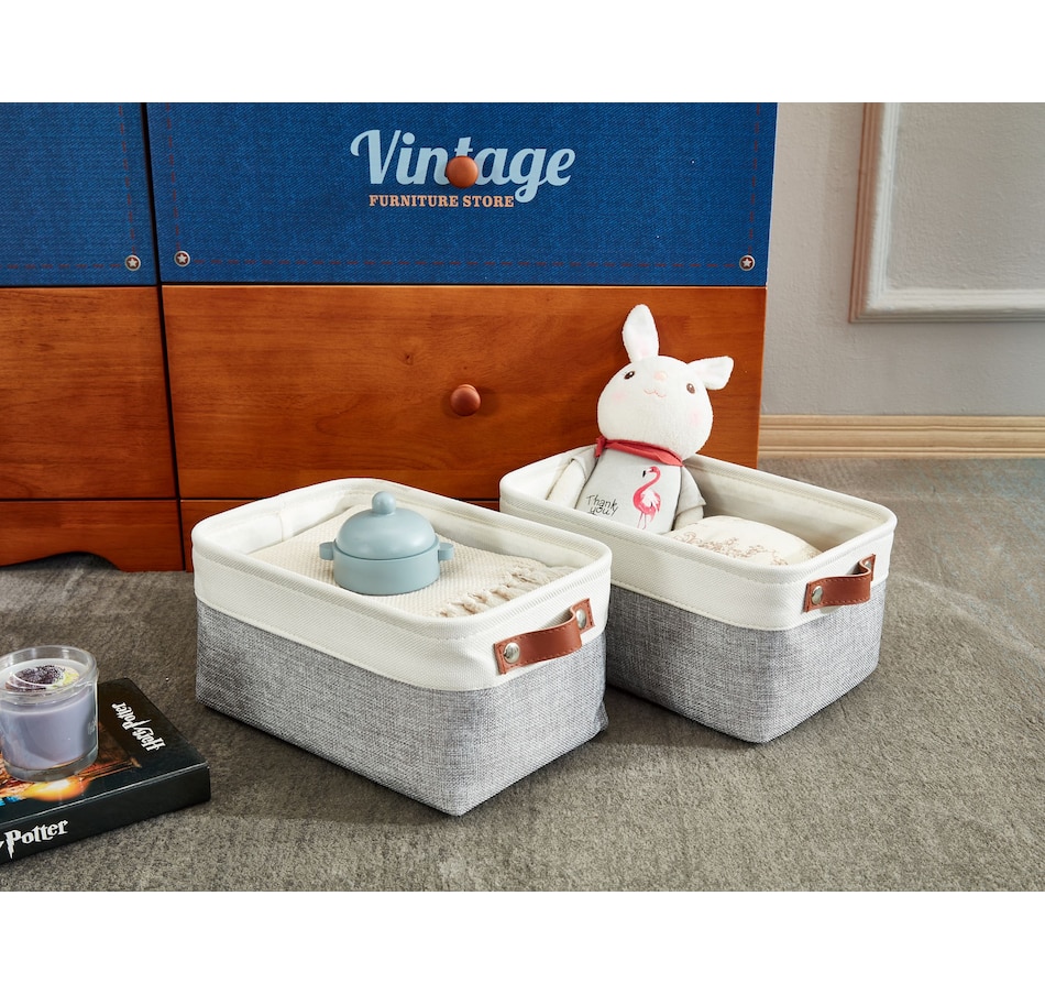 Image 899201_ALTMORE23.jpg, Product 899-201 / Price $40.99, Small Foldable Fabric Storage Bin from DECOMOMO® on TSC.ca's department