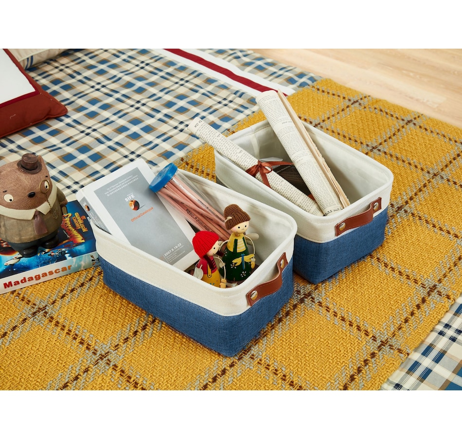Image 899201_ALTMORE37.jpg, Product 899-201 / Price $40.99, Small Foldable Fabric Storage Bin from DECOMOMO® on TSC.ca's department