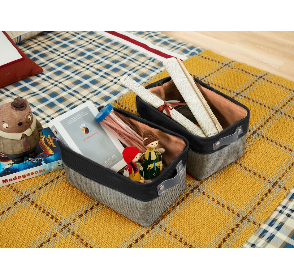 Image 899201_ALTMORE4.jpg, Product 899-201 / Price $40.99, Small Foldable Fabric Storage Bin from DECOMOMO® on TSC.ca's department