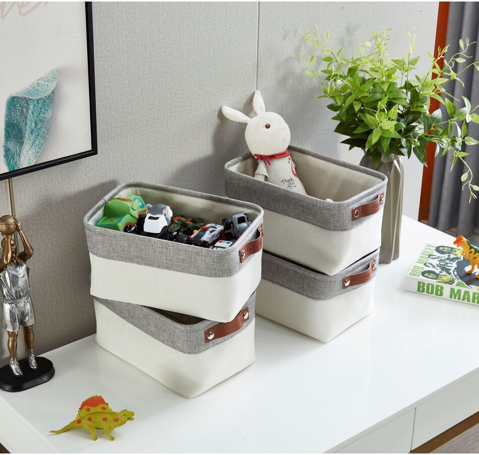 Image 899201_ALTMORE45.jpg, Product 899-201 / Price $40.99, Small Foldable Fabric Storage Bin from DECOMOMO® on TSC.ca's department