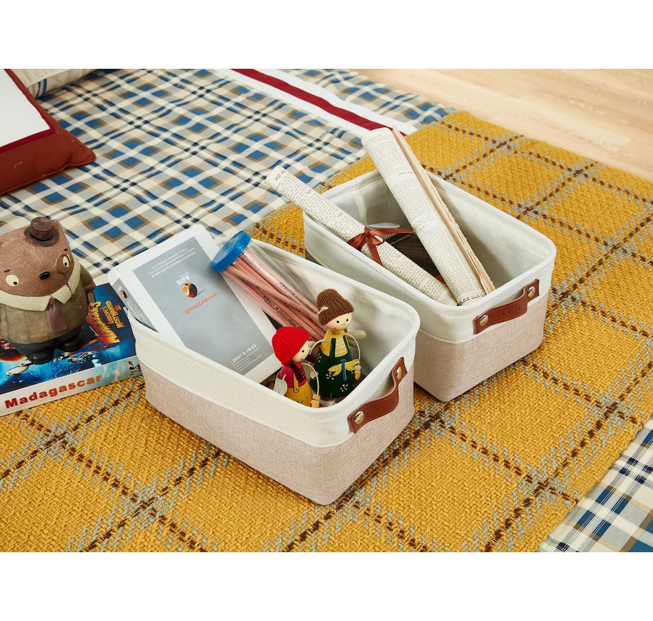 Image 899201_ALTMORE46.jpg, Product 899-201 / Price $40.99, Small Foldable Fabric Storage Bin from DECOMOMO® on TSC.ca's department