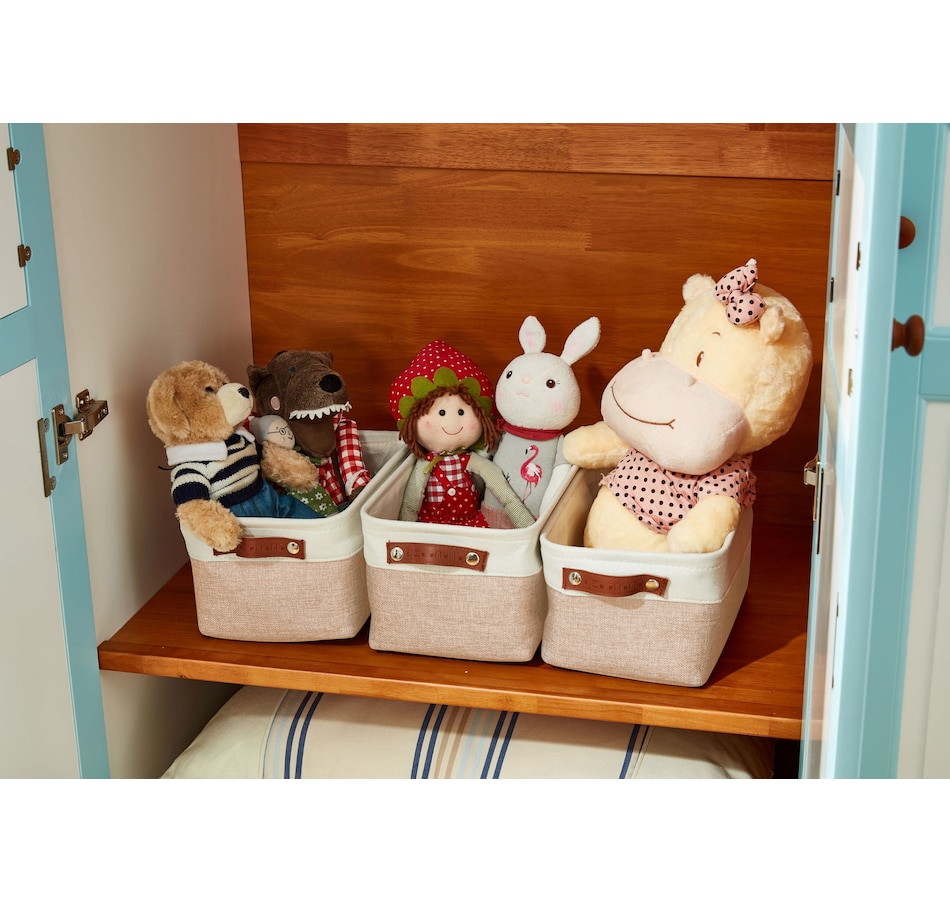 Image 899201_ALTMORE51.jpg, Product 899-201 / Price $40.99, Small Foldable Fabric Storage Bin from DECOMOMO® on TSC.ca's department