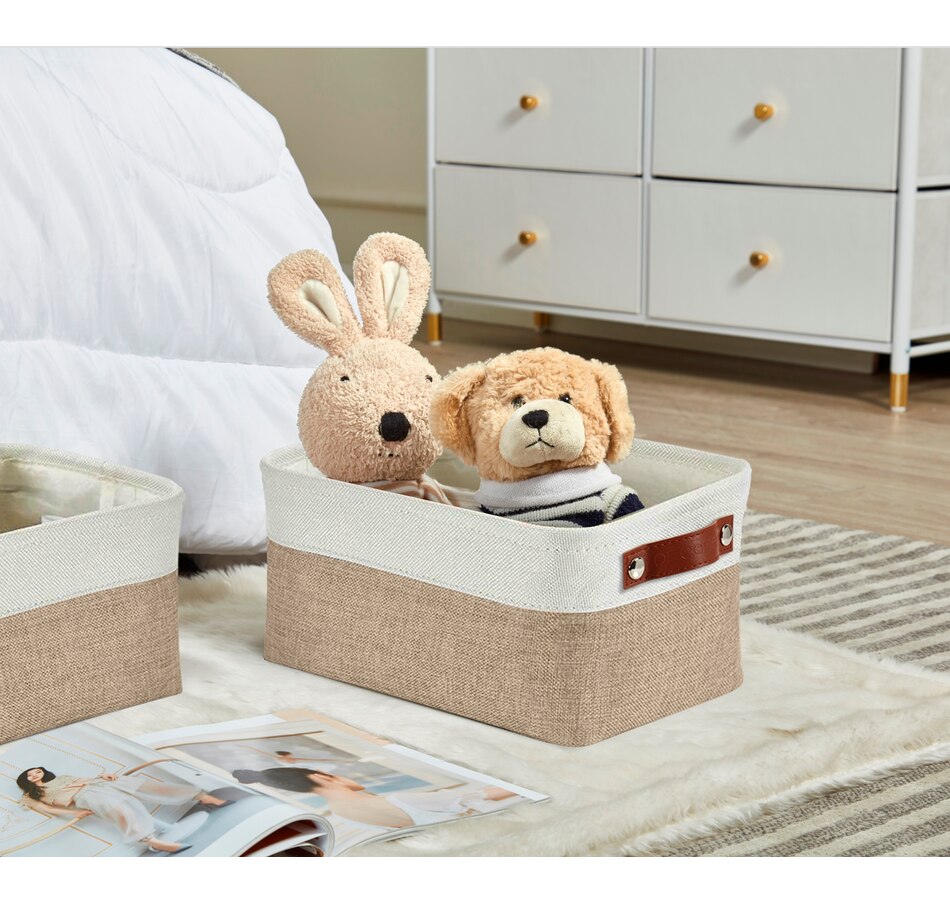 Image 899201_ALTMORE54.jpg, Product 899-201 / Price $40.99, Small Foldable Fabric Storage Bin from DECOMOMO® on TSC.ca's department