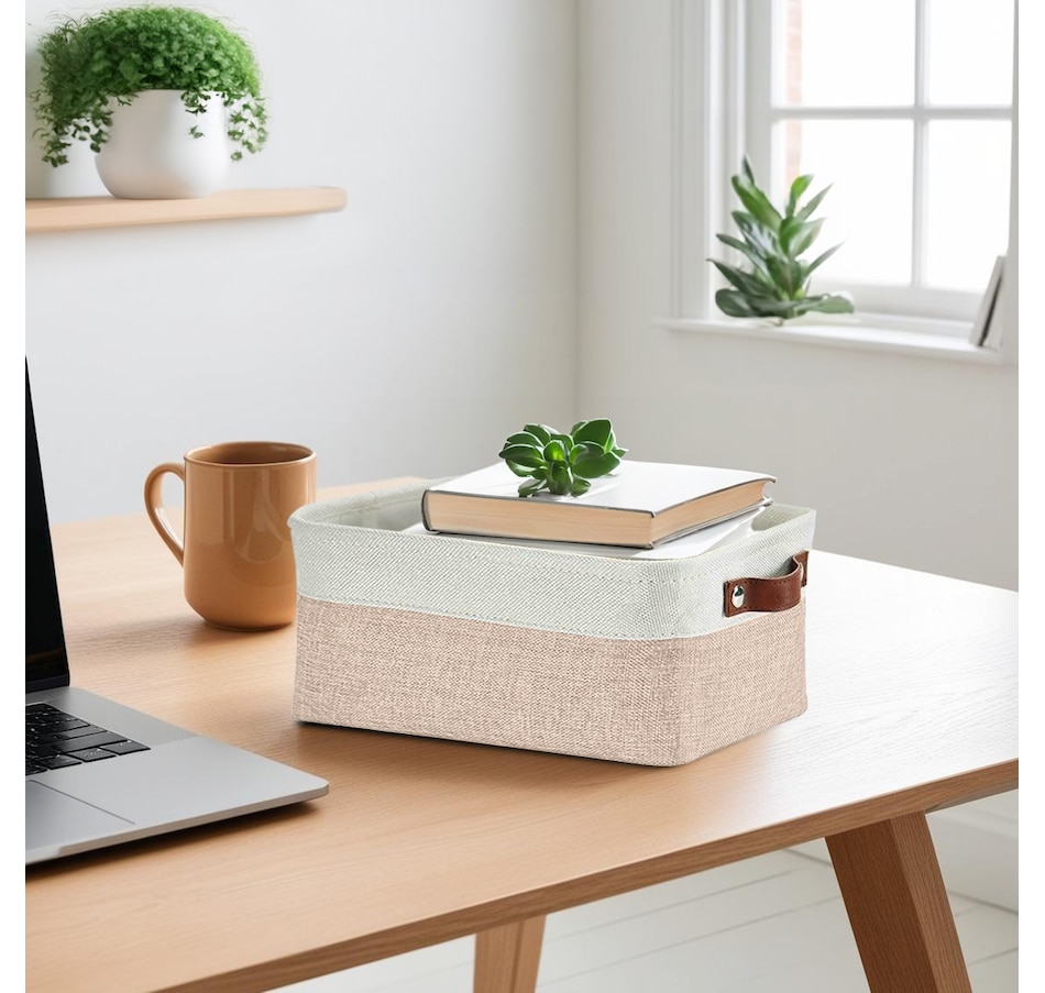 Image 899201_ALTMORE55.jpg, Product 899-201 / Price $40.99, Small Foldable Fabric Storage Bin from DECOMOMO® on TSC.ca's department