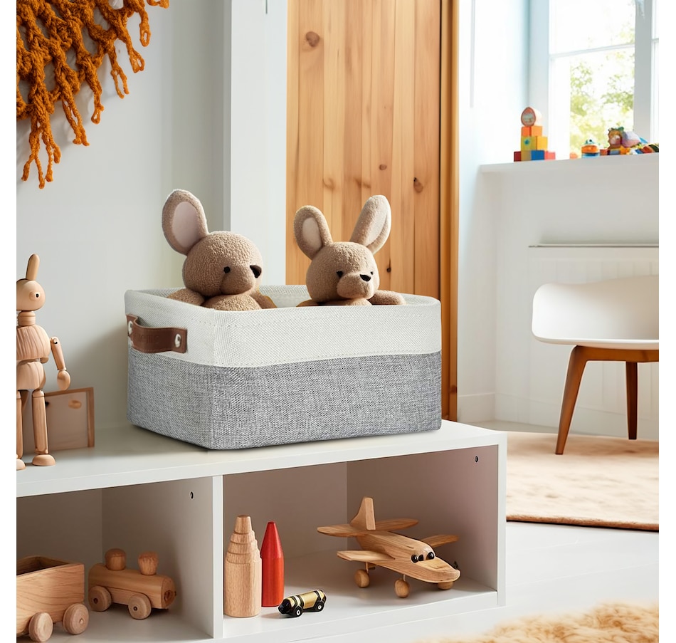 Image 899201_ALTMORE60.jpg, Product 899-201 / Price $40.99, Small Foldable Fabric Storage Bin from DECOMOMO® on TSC.ca's department