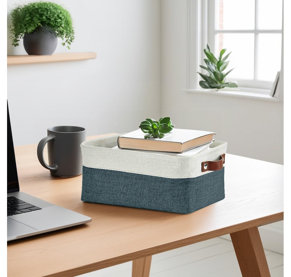 Image 899201_ALTMORE65.jpg, Product 899-201 / Price $40.99, Small Foldable Fabric Storage Bin from DECOMOMO® on TSC.ca's department