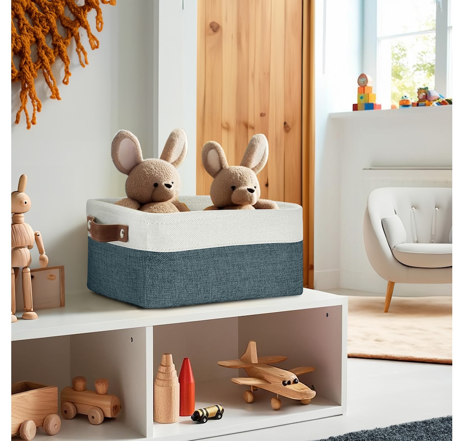 Image 899201_ALTMORE66.jpg, Product 899-201 / Price $40.99, Small Foldable Fabric Storage Bin from DECOMOMO® on TSC.ca's department