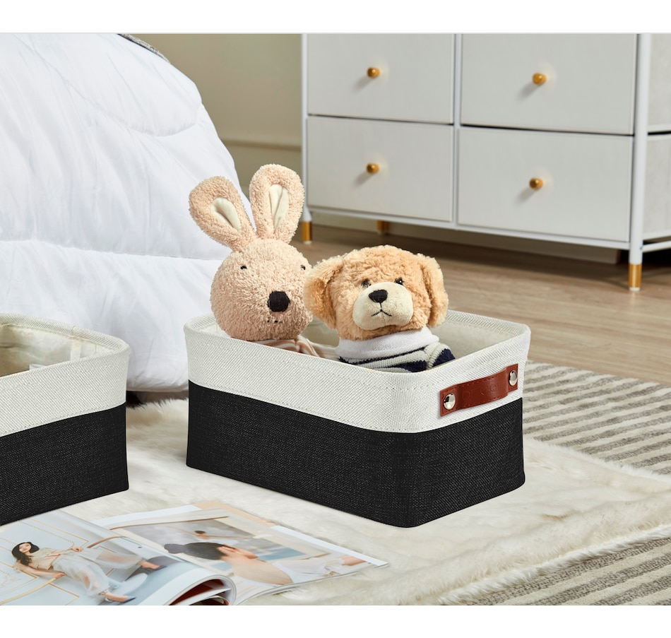 Image 899201_ALTMORE70.jpg, Product 899-201 / Price $40.99, Small Foldable Fabric Storage Bin from DECOMOMO® on TSC.ca's department