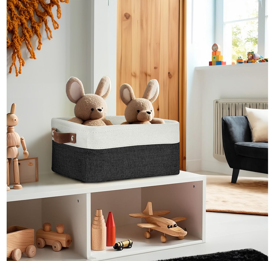 Image 899201_ALTMORE71.jpg, Product 899-201 / Price $40.99, Small Foldable Fabric Storage Bin from DECOMOMO® on TSC.ca's department