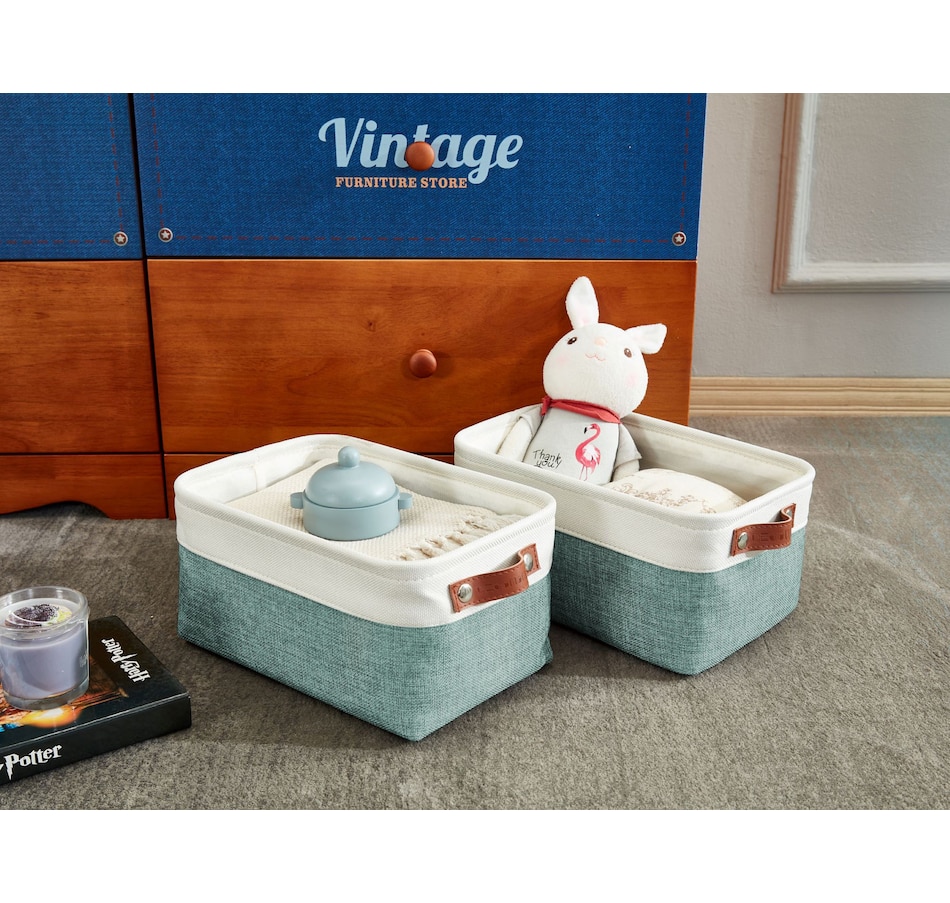 Image 899201_ALTMORE9.jpg, Product 899-201 / Price $40.99, Small Foldable Fabric Storage Bin from DECOMOMO® on TSC.ca's department