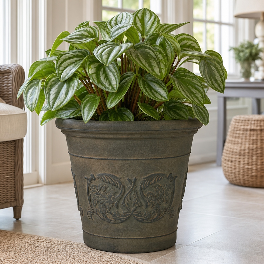 Image 899564_ALTMORE22.jpg, Product 899-564 / Price $151.35 - $395.85, Anjelica Double-Walled Flower Pot Planter - 20" from Sunnydaze Décor on TSC.ca's Home & Garden department