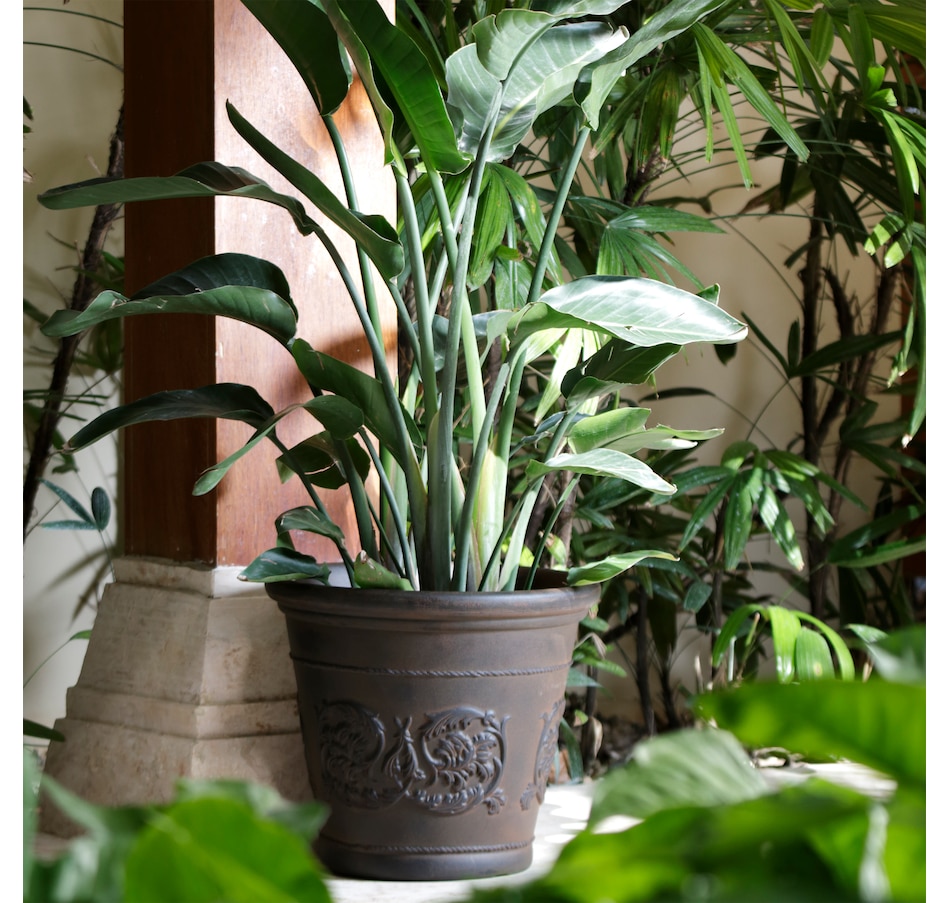 Image 899585_ALTMORE13.jpg, Product 899-585 / Price $101.85 - $247.25, Arabella Planter - 16 in (40.6 cm) from Sunnydaze Décor on TSC.ca's Home & Garden department
