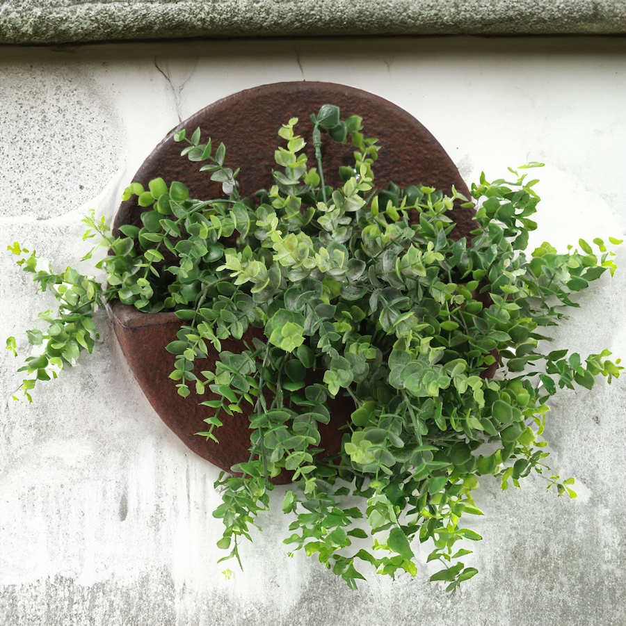 Image 899598_ALTMORE8.jpg, Product 899-598 / Price $74.45, Round Wall-Mounted Indoor/Outdoor Planter - Dark Brown - 12" from Sunnydaze DĂŠcor on TSC.ca's Home & Garden department