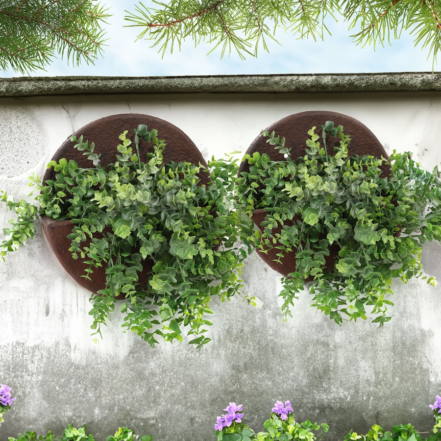 Image 899598_ALTMORE9.jpg, Product 899-598 / Price $74.45, Round Wall-Mounted Indoor/Outdoor Planter - Dark Brown - 12" from Sunnydaze DĂŠcor on TSC.ca's Home & Garden department