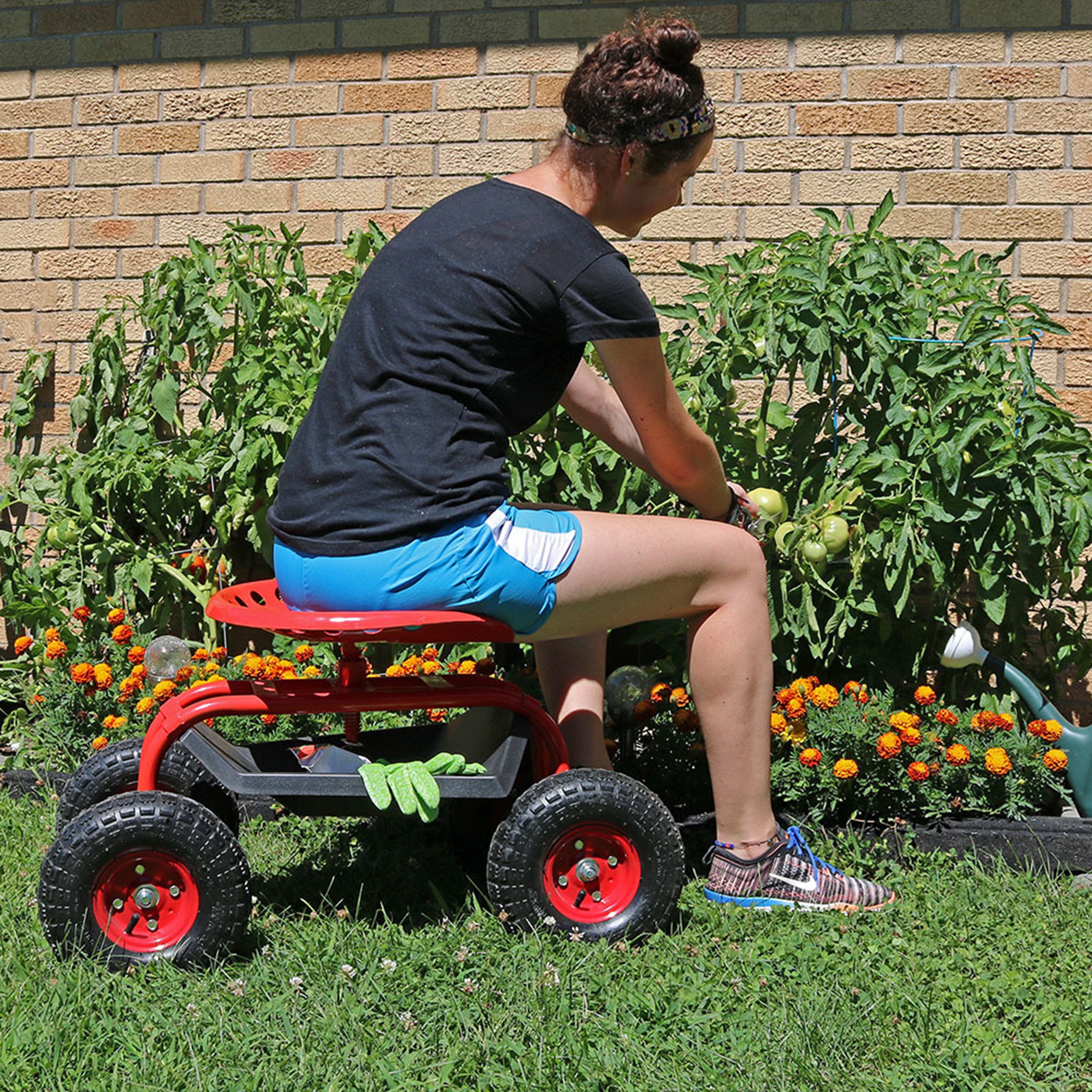 Tsc lawn cart sale