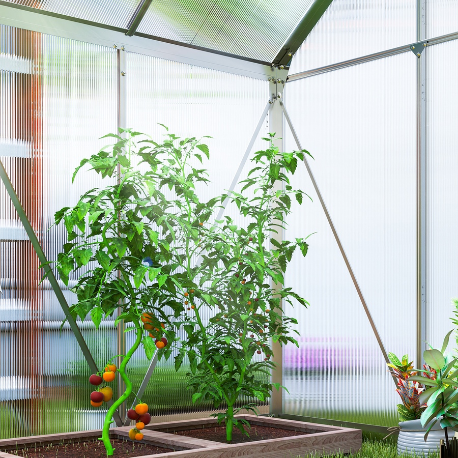Image 906500_ALTMORE8.jpg, Product 906-500 / Price $276.99, Outsunny 6' x 4' x 6.6' Polycarbonate Greenhouse Walk-in Green House Clear from Outsunny on TSC.ca's Home & Garden department