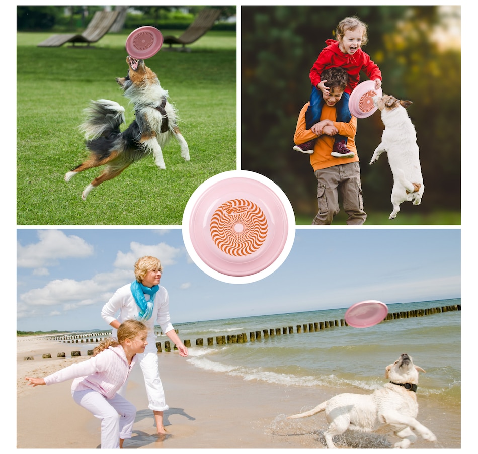 Image 907676_ALTMORE12.jpg, Product 907-676 / Price $16.99 - $35.99, Wham-O Frisbee Fastback Flying Disc, 9.35" Dog-friendly Lightweight Toy - 100g from Wham-O on TSC.ca's Home & Garden department