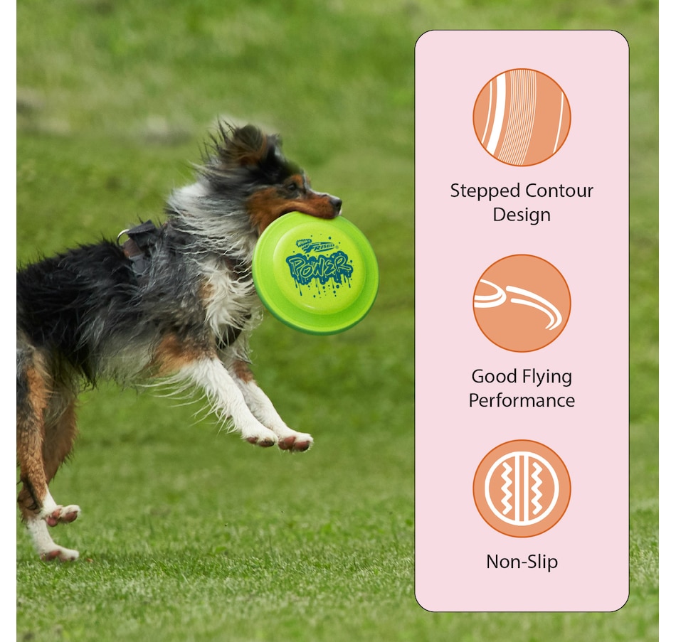 Image 907676_ALTMORE20.jpg, Product 907-676 / Price $16.99 - $35.99, Wham-O Frisbee Fastback Flying Disc, 9.35" Dog-friendly Lightweight Toy - 100g from Wham-O on TSC.ca's Home & Garden department