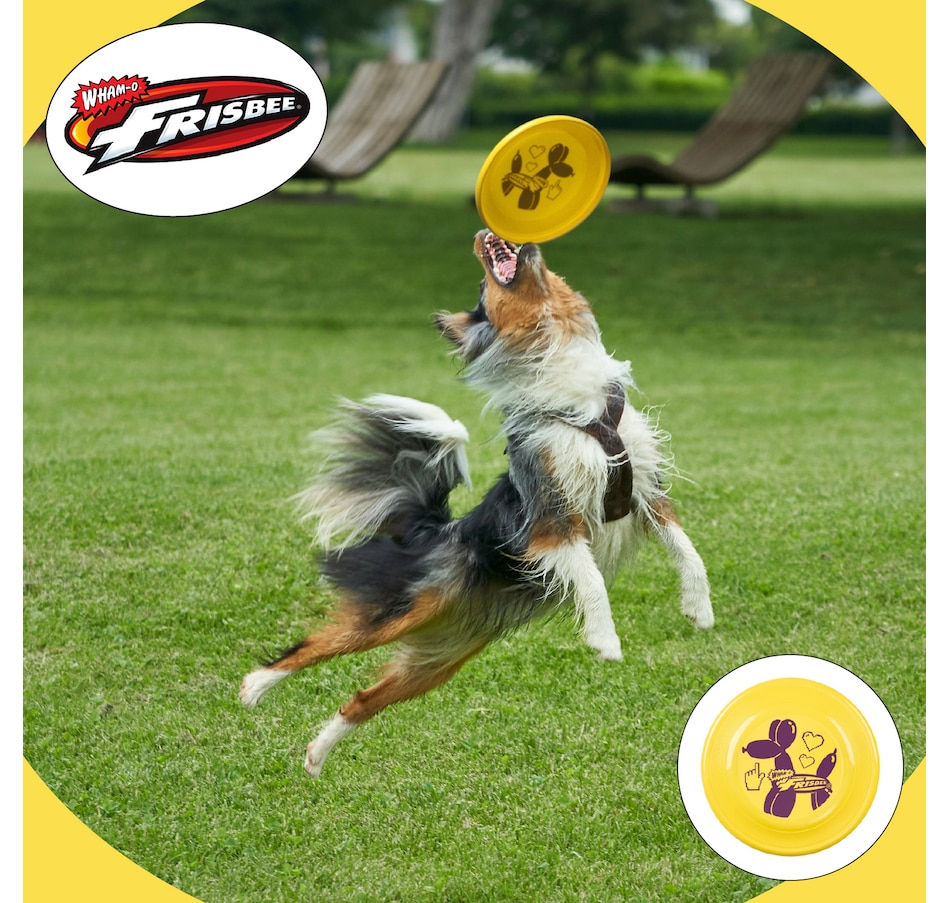 Image 907676_ALTMORE29.jpg, Product 907-676 / Price $16.99 - $35.99, Wham-O Frisbee Fastback Flying Disc, 9.35" Dog-friendly Lightweight Toy - 100g from Wham-O on TSC.ca's Home & Garden department