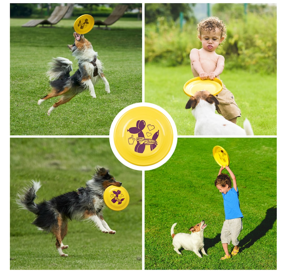 Image 907676_ALTMORE30.jpg, Product 907-676 / Price $16.99 - $35.99, Wham-O Frisbee Fastback Flying Disc, 9.35" Dog-friendly Lightweight Toy - 100g from Wham-O on TSC.ca's Home & Garden department