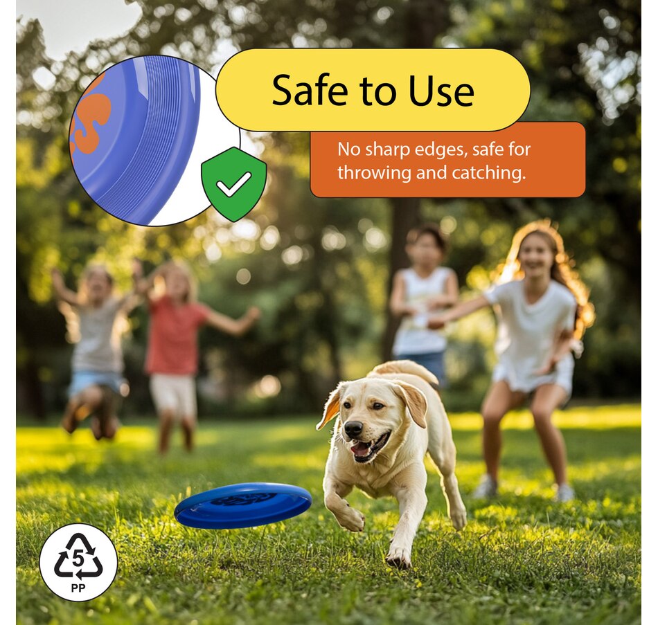 Image 907676_ALTMORE34.jpg, Product 907-676 / Price $16.99 - $35.99, Wham-O Frisbee Fastback Flying Disc, 9.35" Dog-friendly Lightweight Toy - 100g from Wham-O on TSC.ca's Home & Garden department