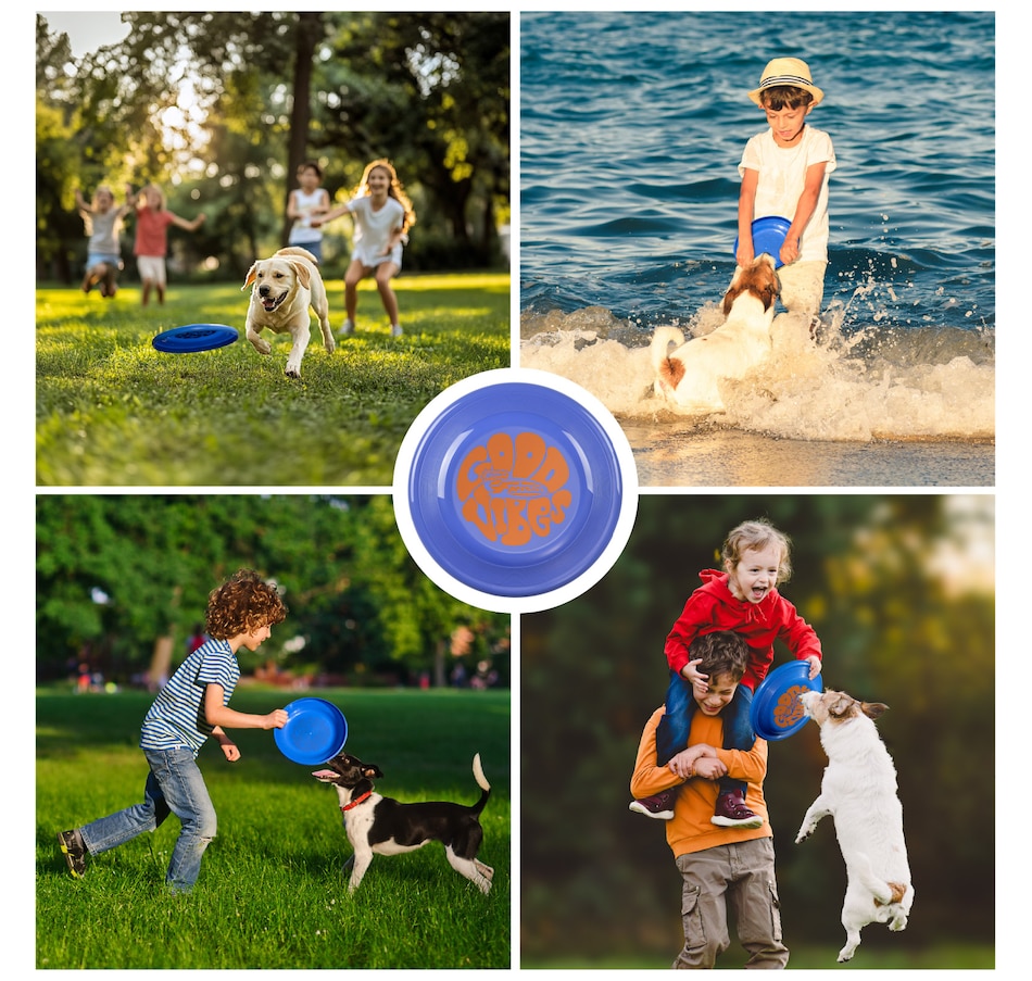 Image 907676_ALTMORE42.jpg, Product 907-676 / Price $16.99 - $35.99, Wham-O Frisbee Fastback Flying Disc, 9.35" Dog-friendly Lightweight Toy - 100g from Wham-O on TSC.ca's Home & Garden department