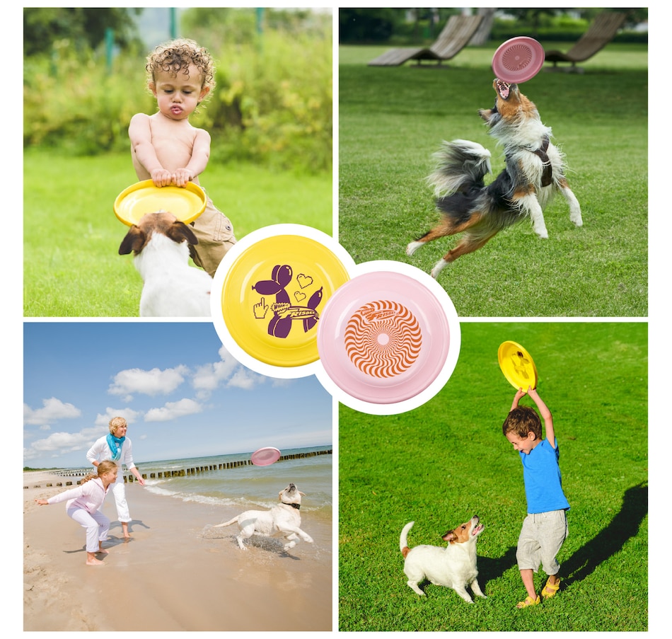 Image 907676_ALTMORE6.jpg, Product 907-676 / Price $16.99 - $35.99, Wham-O Frisbee Fastback Flying Disc, 9.35" Dog-friendly Lightweight Toy - 100g from Wham-O on TSC.ca's Home & Garden department