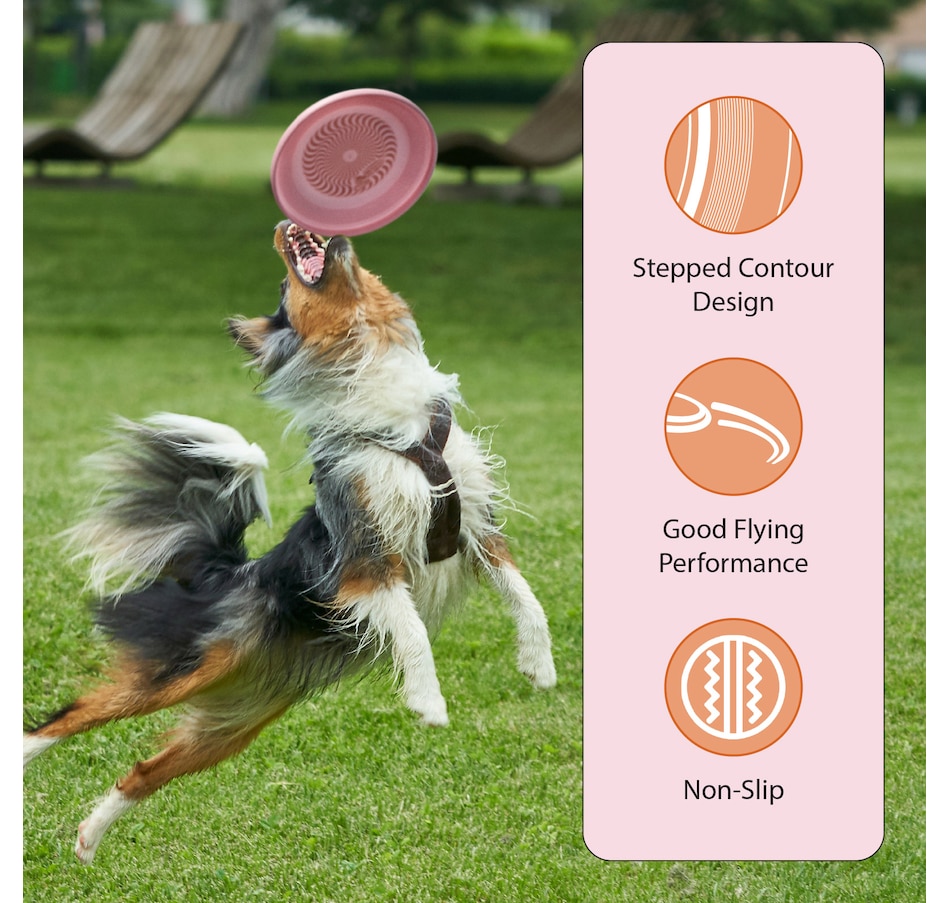 Image 907676_ALTMORE8.jpg, Product 907-676 / Price $16.99 - $35.99, Wham-O Frisbee Fastback Flying Disc, 9.35" Dog-friendly Lightweight Toy - 100g from Wham-O on TSC.ca's Home & Garden department