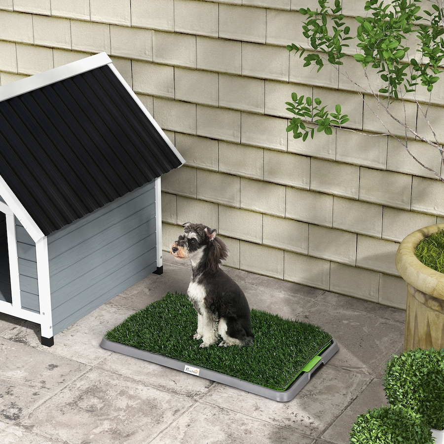 Image 923514_ALTMORE1.jpg, Product 923-514 / Price $53.99, PawHut Artificial Grass Pee Pad for Dogs Potty Training, 2 Packs from PawHut on TSC.ca's Home & Garden department