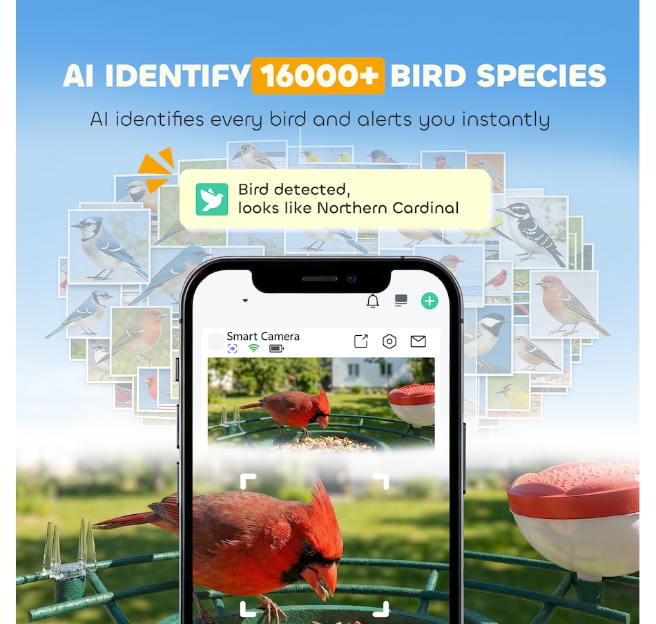 Image 926805_ALTMORE3.jpg, Product 926-805 / Price $89.99, PawHut Smart Bird Feeder Camera with AI Identify, 2K HD Live Video from PawHut on TSC.ca's Home & Garden department