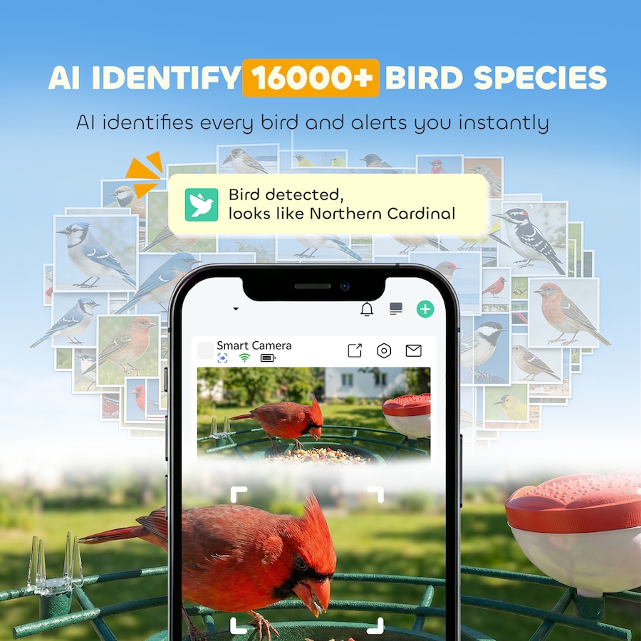 Image 926805_ALTMORE3.jpg, Product 926-805 / Price $122.99, PawHut Smart Bird Feeder Camera with AI Identify, 2K HD Live Video from PawHut on TSC.ca's Home & Garden department