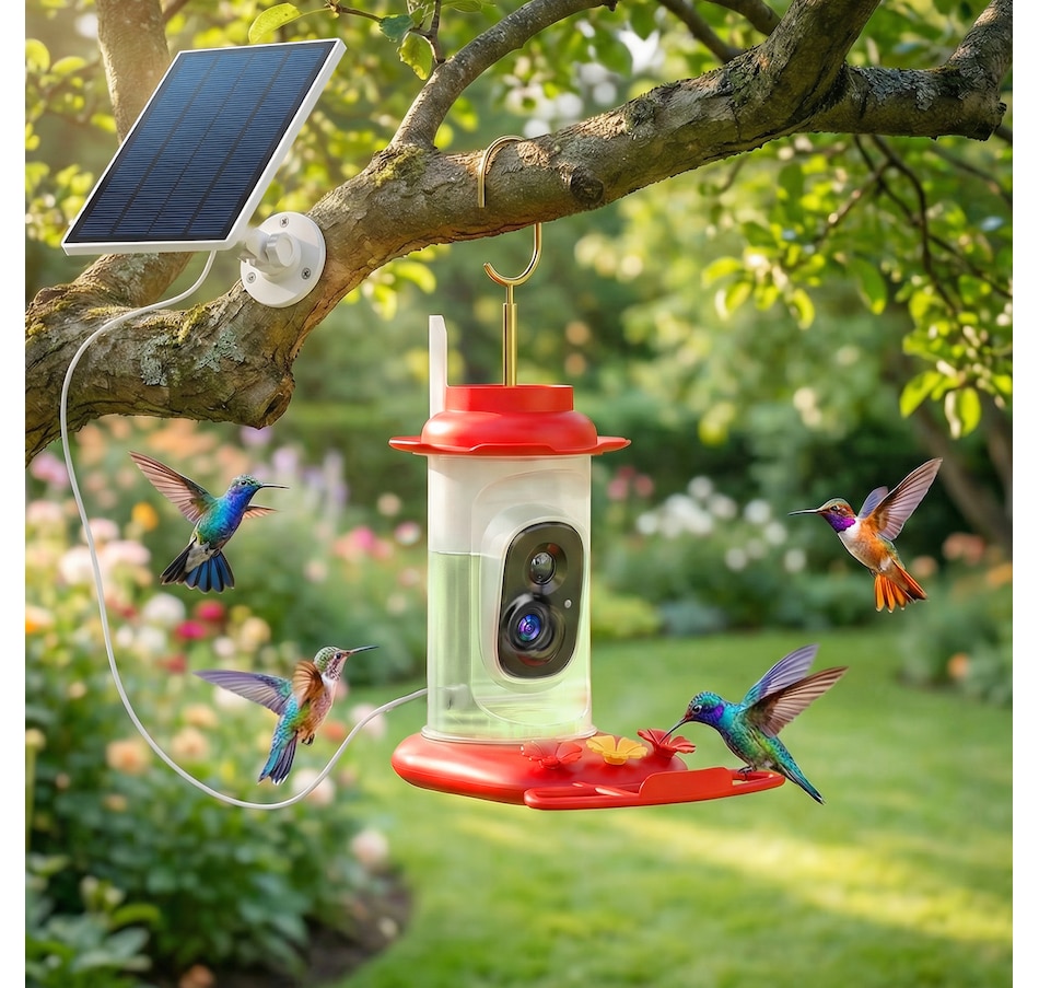 Image 926806_ALTMORE1.jpg, Product 926-806 / Price $82.99, PawHut Smart Bird Feeder with 2K HD Camera, Bird Feeder Camera AI Identify from PawHut on TSC.ca's Home & Garden department