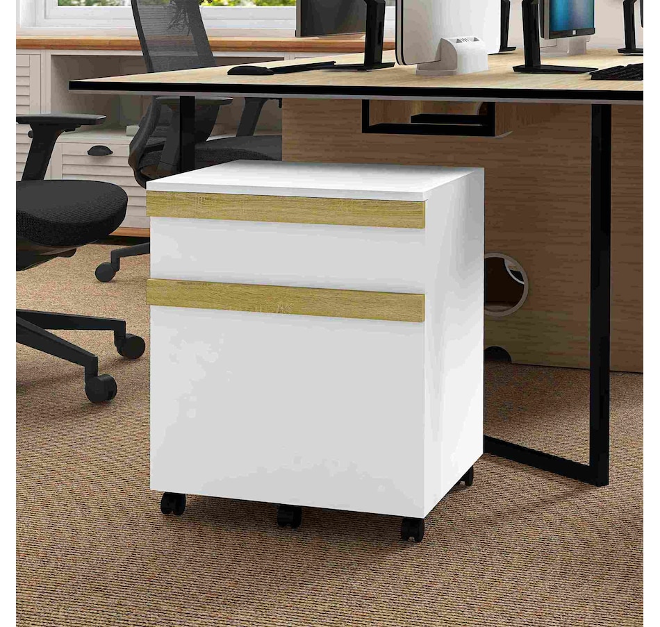 Image 934444_ALTMORE1.jpg, Product 934-444 / Price $72.99, Vinsetto 2 Drawers Filing Cabinet, File Cabinet with 5 Wheels, White from Vinsetto on TSC.ca's Home & Garden department